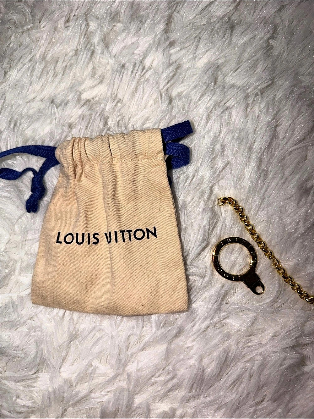 Louis Vuitton Gold-Tone Chain Accessory with Pouch